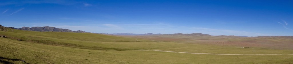 DSC00652