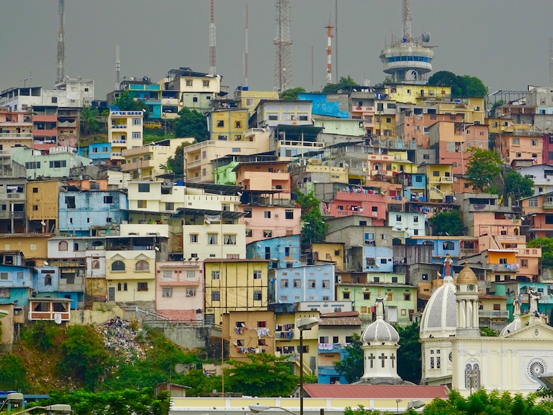 Guayaquil est la plus grande ville d’Equateur, et sa capitale économique, alors que la capitale administrative est Quito. Malgré tout elle a beaucoup moins que charme que Quito car elle n'a pas le même passé colonial. Je n’y suis restée qu'une journée avant de m’envoler pour les Galápagos, c’est juste ce qu’il faut pour se promener sur le Malecon, monter en haut du Cerro Santa Ana et aller voir les iguanes dans un parc du centre-ville.