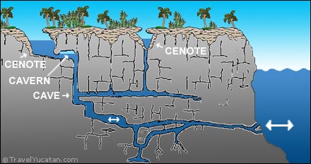 Cenotes du Yucatan